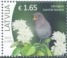 Thrush Nightingale Luscinia luscinia  2023 Birds 