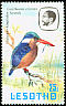 Malachite Kingfisher Corythornis cristatus