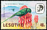 Malachite Sunbird Nectarinia famosa  1981 Birds p 14½