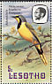 Bokmakierie Telophorus zeylonus  1981 Birds Booklet