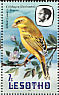 Yellow Canary Crithagra flaviventris  1981 Birds Booklet