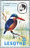 Malachite Kingfisher Corythornis cristatus  1981 Birds Booklet