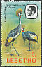 Grey Crowned Crane Balearica regulorum  1982 Imprint 1982 on 1981.01 With wmk