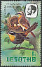 Cape Robin-Chat Cossypha caffra  1982 Imprint 1982 on 1981.01 With wmk