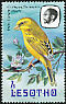 Yellow Canary Crithagra flaviventris  1982 Imprint 1982 on 1981.01 With wmk