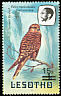 Greater Kestrel Falco rupicoloides  1986 Surcharge on 1981.01-2, 1982.01-2 