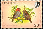 Red-headed Finch Amadina erythrocephala