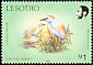 Western Cattle Egret Bubulcus ibis  1988 Birds 