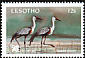 Wattled Crane Grus carunculata  1991 Tourism 3v set