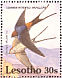 Lesser Striped Swallow Cecropis abyssinica  1992 Birds Sheet