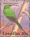 Malachite Sunbird Nectarinia famosa  1992 Birds Sheet