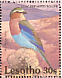 Lilac-breasted Roller Coracias caudatus  1992 Birds Sheet