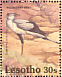 Secretarybird Sagittarius serpentarius  1992 Birds Sheet