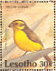 Yellow Canary Crithagra flaviventris  1992 Birds Sheet