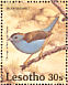 Blue Waxbill Uraeginthus angolensis  1992 Birds Sheet