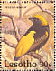 Yellow-crowned Bishop Euplectes afer  1992 Birds Sheet