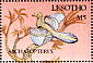 Archaeopteryx Archaeopteryx lithografica  1992 Prehistoric animals  MS