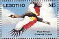 Grey Crowned Crane Balearica regulorum  1993 Earth Summit 92  MS