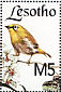 Indian White-eye Zosterops palpebrosus  1994 Philakorea 94  MS