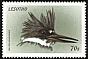 Belted Kingfisher Megaceryle alcyon