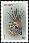 Hoatzin Opisthocomus hoazin  1999 Birds of the world 