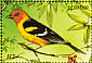Western Tanager Piranga ludoviciana  1999 Birds of the world Sheet