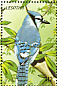 Blue Jay Cyanocitta cristata  1999 Birds of the world Sheet