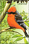 Scarlet Flycatcher Pyrocephalus rubinus