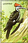 Pileated Woodpecker Dryocopus pileatus  1999 Birds of the world Sheet