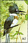 Belted Kingfisher Megaceryle alcyon  1999 Birds of the world Sheet