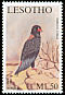 Bateleur Terathopius ecaudatus