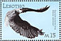 Black-winged Kite Elanus caeruleus  2001 Wildlife of Southern Africa  MS