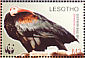 Southern Bald Ibis Geronticus calvus  2004 WWF Sheet with 2 sets