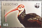 Southern Bald Ibis Geronticus calvus  2004 WWF Sheet with 2 sets