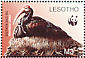 Southern Bald Ibis Geronticus calvus  2004 WWF Sheet with 2 sets