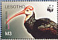 Southern Bald Ibis Geronticus calvus  2004 WWF Sheet with 4 sets