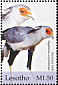 Secretarybird Sagittarius serpentarius