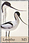 Pied Avocet Recurvirostra avosetta  2004 Birds 