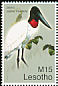 Jabiru Jabiru mycteria  2007 Beautiful birds 