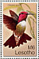 Anna's Hummingbird Calypte anna  2007 Beautiful birds Sheet