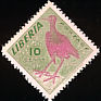 African Jacana Actophilornis africanus  1953 Definitives 