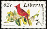 Northern Cardinal Cardinalis cardinalis