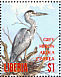 Grey Heron Ardea cinerea