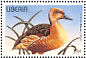 Fulvous Whistling Duck Dendrocygna bicolor  1996 Birds Sheet