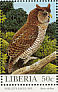 Shelley's Eagle-Owl Ketupa shelleyi