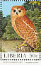 Rufous Fishing Owl Scotopelia ussheri