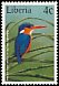 Malachite Kingfisher Corythornis cristatus