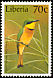 Little Bee-eater Merops pusillus