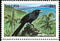 Groove-billed Ani Crotophaga sulcirostris  1998 Birds of the world 