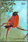 Scarlet-rumped Trogon Harpactes duvaucelii